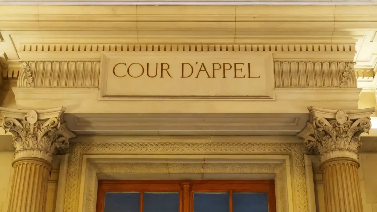 Tutelle et curatelle : la procédure d’appel